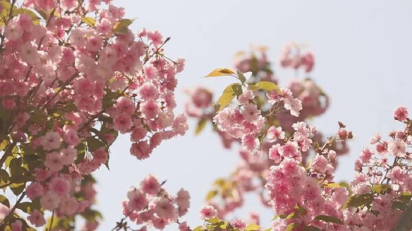 师生荐书 | 《大地上的事情》：春天里，安排一场与大地的对话